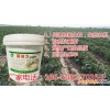 安庆市温室微生物菌剂营养调节18660827035
