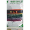 四川大棚微生物菌剂微生物水溶性菌剂18660827035