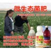 郑州市金水区大棚微生物菌肥企业供应18660827035