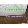 武强发酵鸡粪肥改土肥田√√