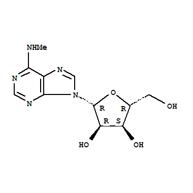 N6-甲基腺苷
