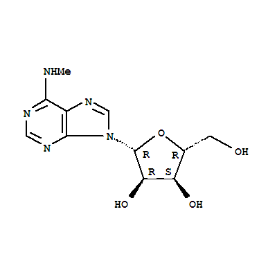 N6-甲基腺苷