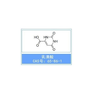 乳清酸 CAS号: 65-86-1维生素B13;无水乳清酸