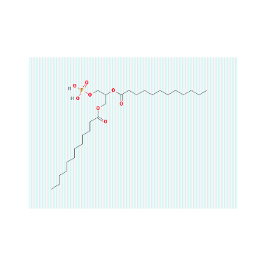 二月桂酰基磷脂酸DLPA|108321-06-8