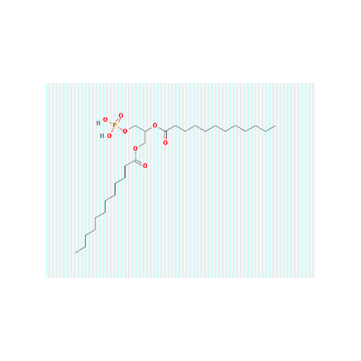 二月桂酰基磷脂酸DLPA|108321-06-8