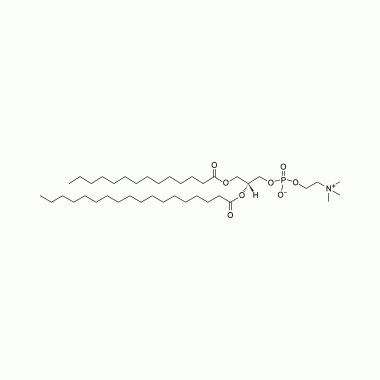 新研博美提供1-肉豆蔻酰基-2-硬脂酰基卵磷脂MSPC同类产品推荐