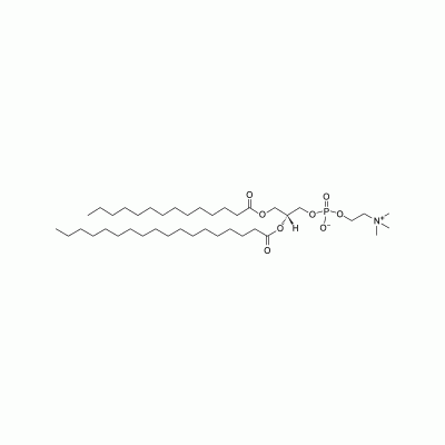 新研博美提供1-肉豆蔻酰基-2-硬脂酰基卵磷脂MSPC同类产品推荐