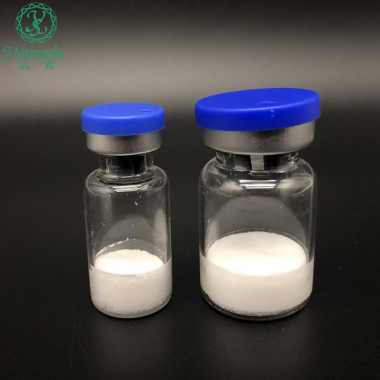 重组人角质细胞生长因子（rh-KGF）