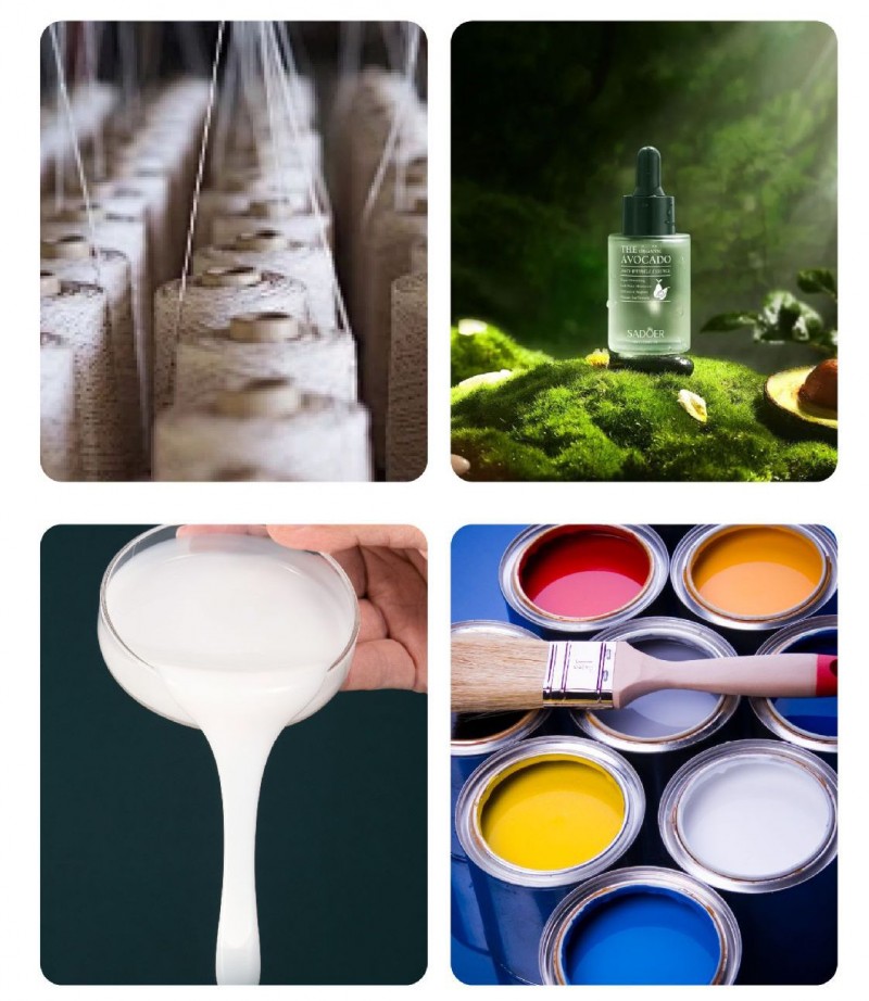 O1CN01N5EhF71u9lUmXWUCE_!!3228335995-0-cib (1)