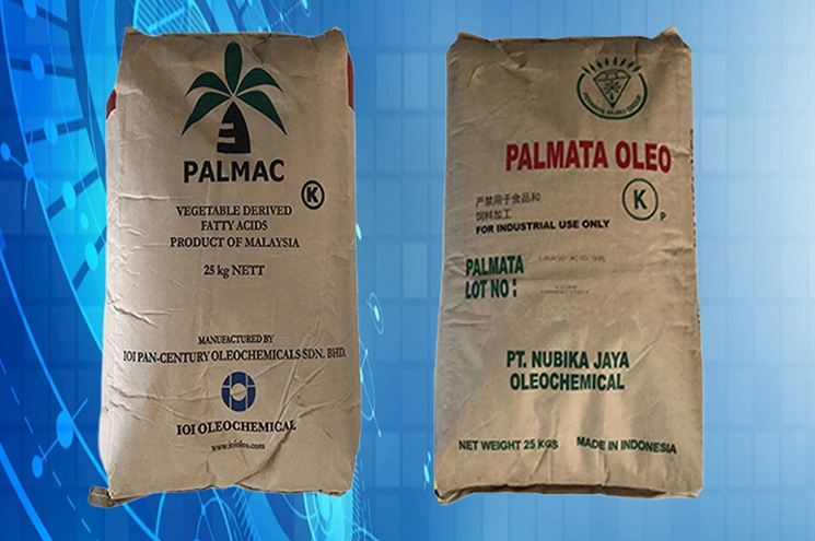 O1CN01VTSjvm1VGkszqx6d1_!!2215544672626-0-cib (1)