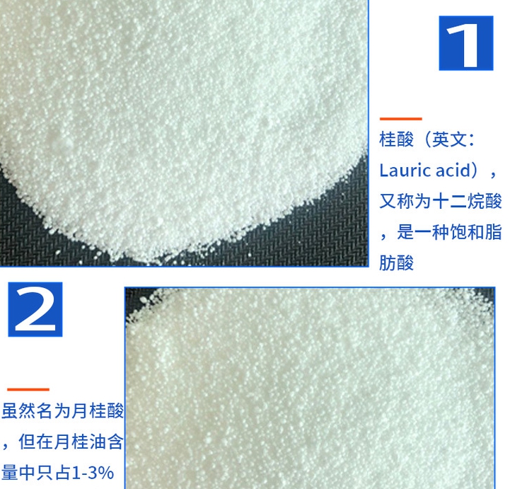 O1CN01BU3n7A20OJcybkyeZ_!!2217475496839-0-cib (1)