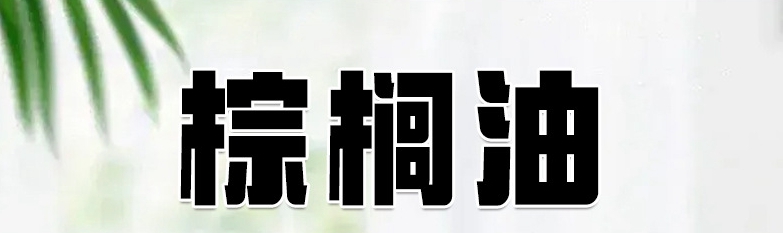 O1CN01DiBPuN2IGgDT03Si6_!!2218267459259-0-cib_副本